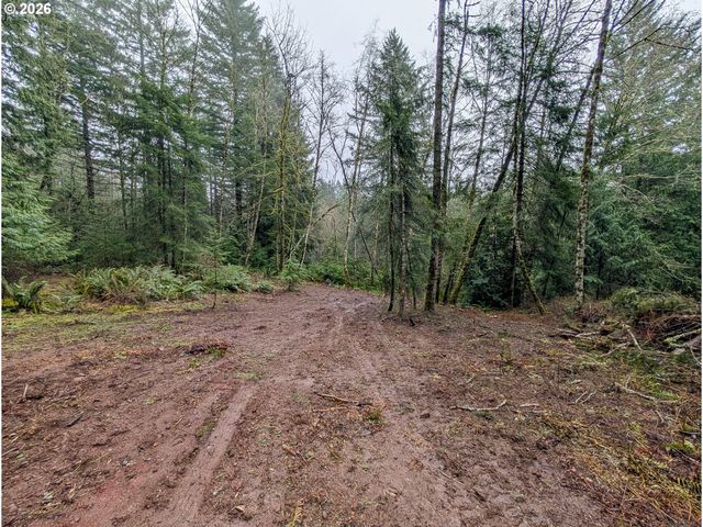0 Ne BERRY Rd, Battle Ground, WA 98604