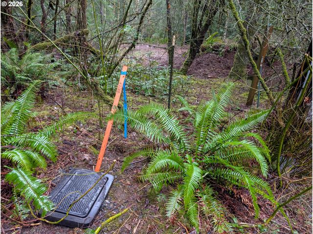 0 Ne BERRY Rd, Battle Ground, WA 98604