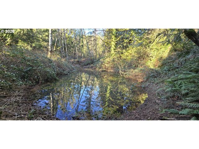 0 Ne BERRY Rd, Battle Ground, WA 98604