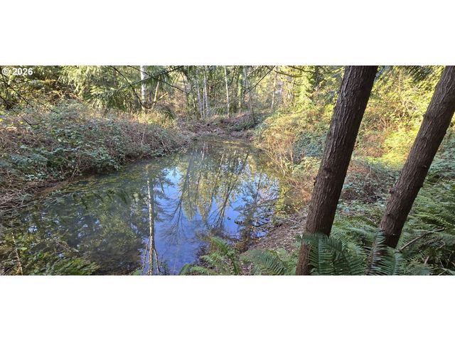 0 Ne BERRY Rd, Battle Ground, WA 98604