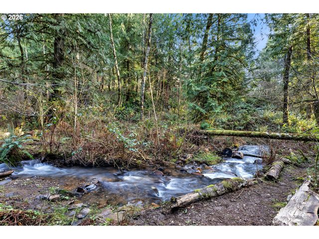 0 Ne BERRY Rd, Battle Ground, WA 98604