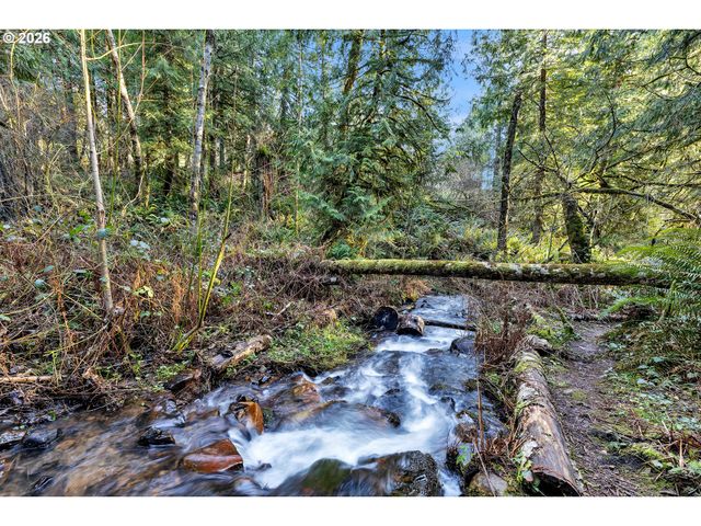 0 Ne BERRY Rd, Battle Ground, WA 98604