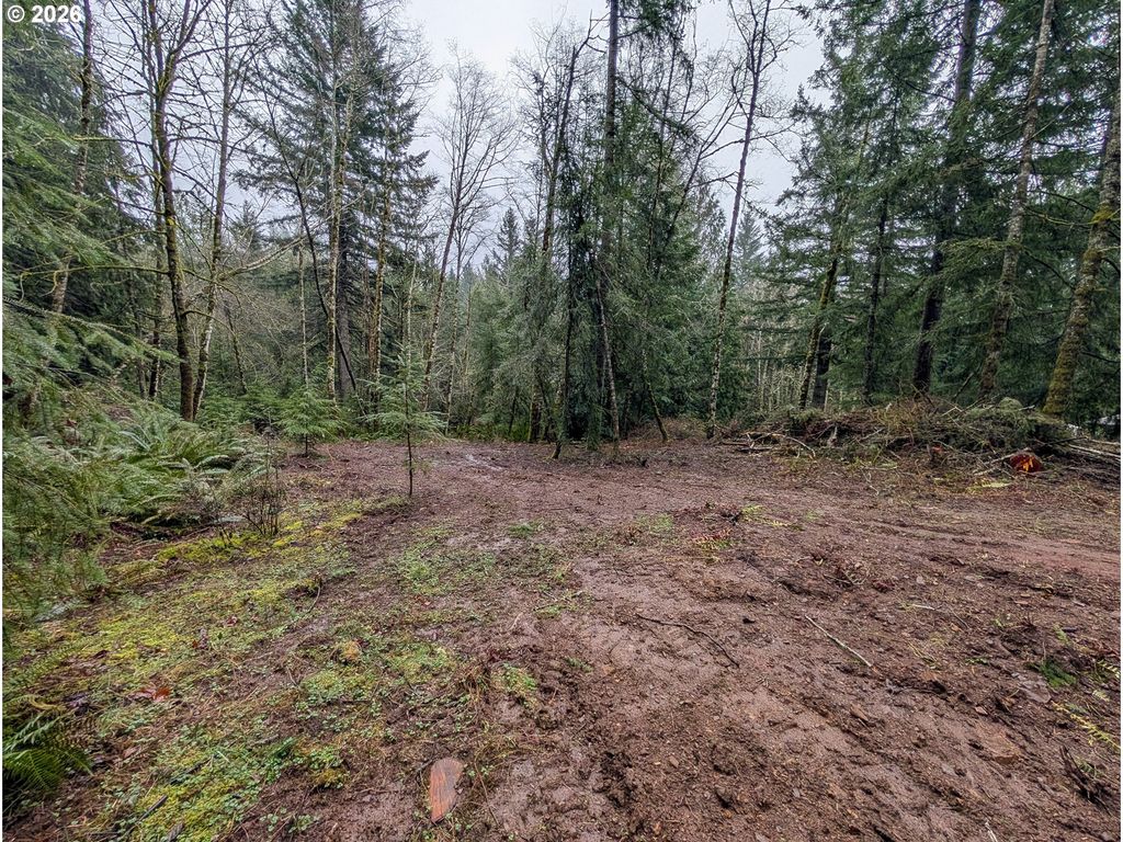 0 Ne BERRY Rd, Battle Ground, WA 98604