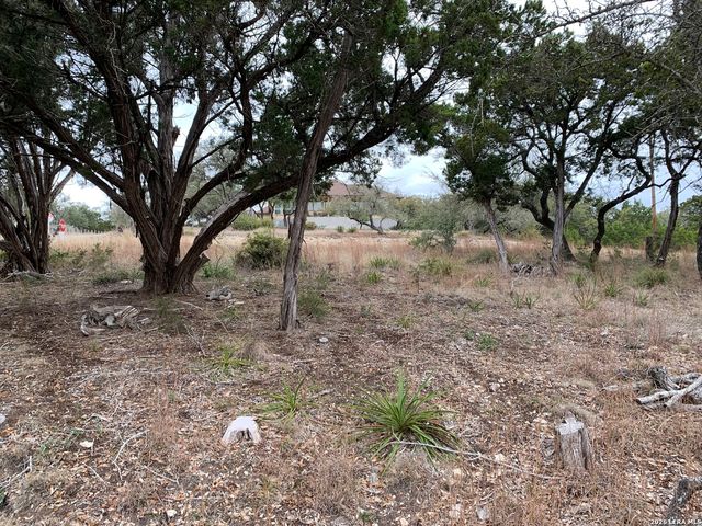LOT 165 Tbd, Canyon Lake, TX 78133