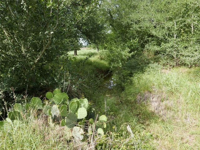 1454 Red Town RD, Elgin, TX 78621