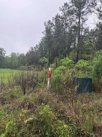 0 Pichetto Trail, Livingston, TX 77351
