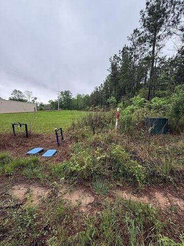 0 Pichetto Trail, Livingston, TX 77351