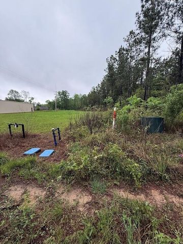 0 Pichetto Trail, Livingston, TX 77351