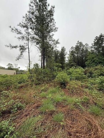 0 Pichetto Trail, Livingston, TX 77351