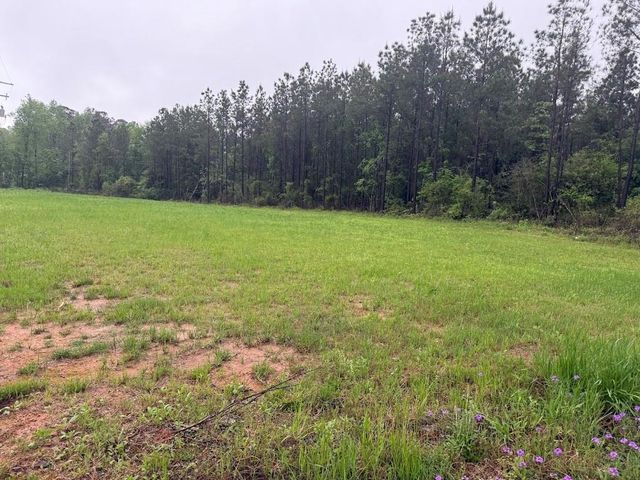 0 Pichetto Trail, Livingston, TX 77351