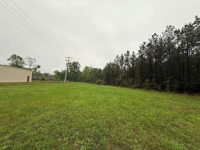 0 Pichetto Trail, Livingston, TX 77351