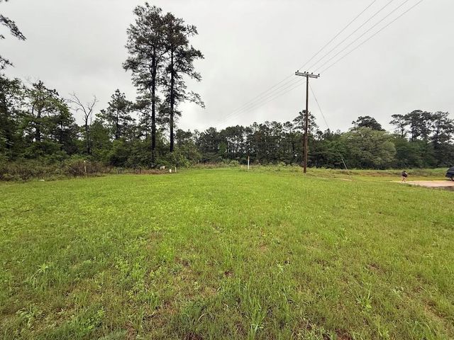 0 Pichetto Trail, Livingston, TX 77351
