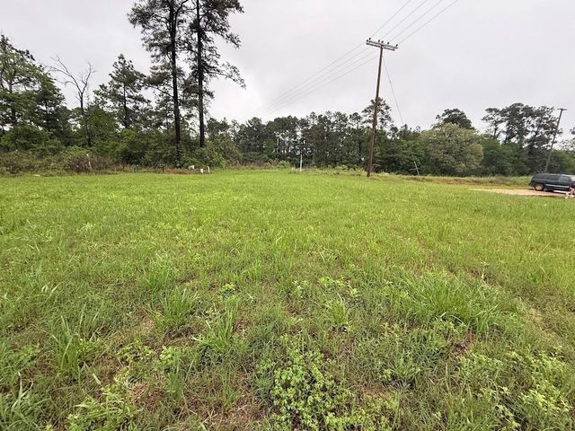 0 Pichetto Trail, Livingston, TX 77351