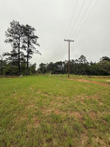 0 Pichetto Trail, Livingston, TX 77351