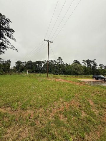 0 Pichetto Trail, Livingston, TX 77351