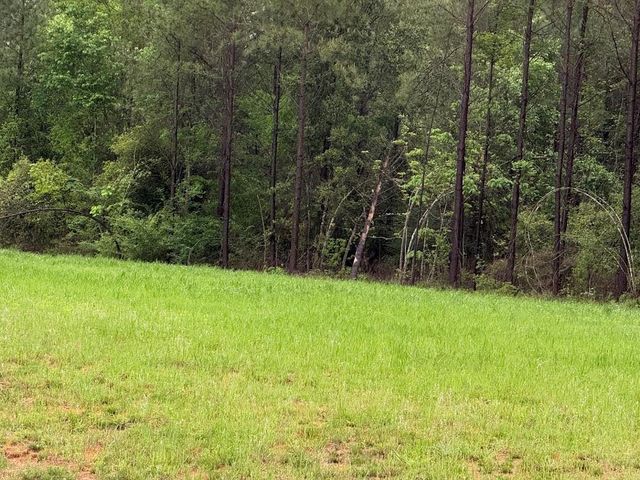 0 Pichetto Trail, Livingston, TX 77351