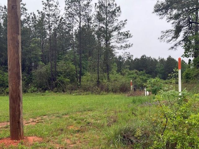 0 Pichetto Trail, Livingston, TX 77351