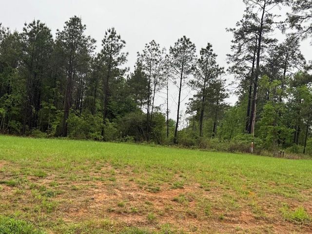 0 Pichetto Trail, Livingston, TX 77351