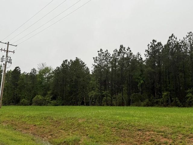 0 Pichetto Trail, Livingston, TX 77351