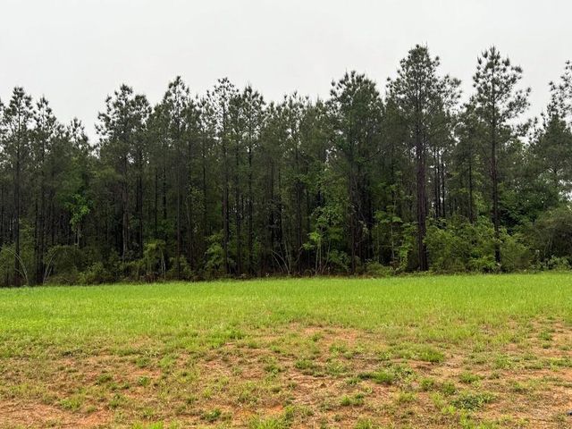 0 Pichetto Trail, Livingston, TX 77351