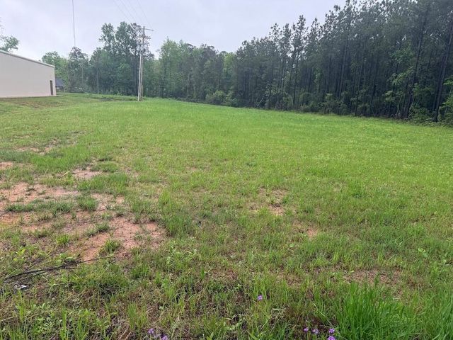 0 Pichetto Trail, Livingston, TX 77351