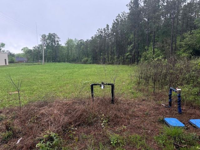 0 Pichetto Trail, Livingston, TX 77351