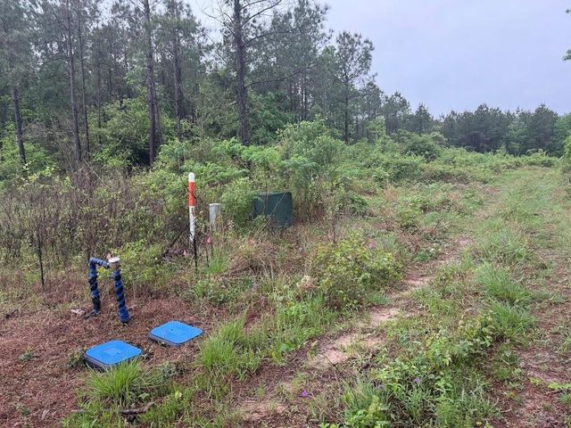 0 Pichetto Trail, Livingston, TX 77351