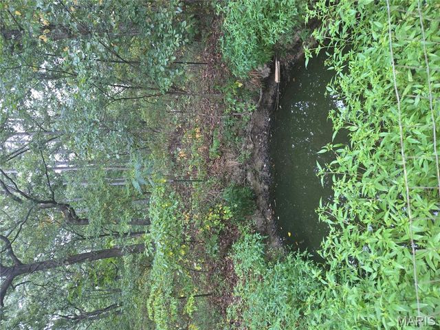 10021 Lark Road, Potosi, MO 63664