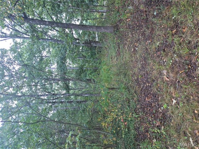 10021 Lark Road, Potosi, MO 63664