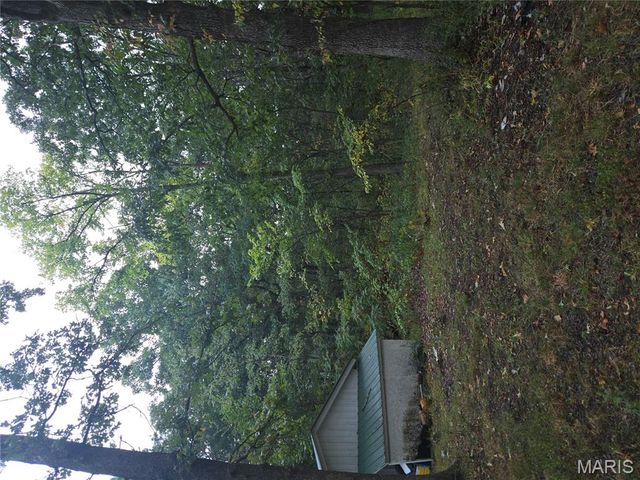 10021 Lark Road, Potosi, MO 63664