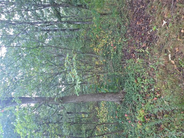 10021 Lark Road, Potosi, MO 63664