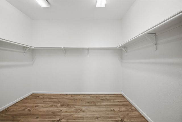 11103 Avery Oaks Lane, Richmond, TX 77406