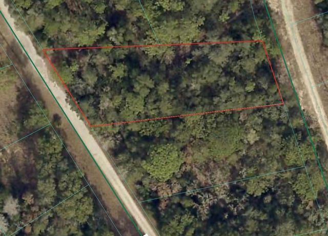 SE 105TH TERRACE, Ocklawaha, FL 32179