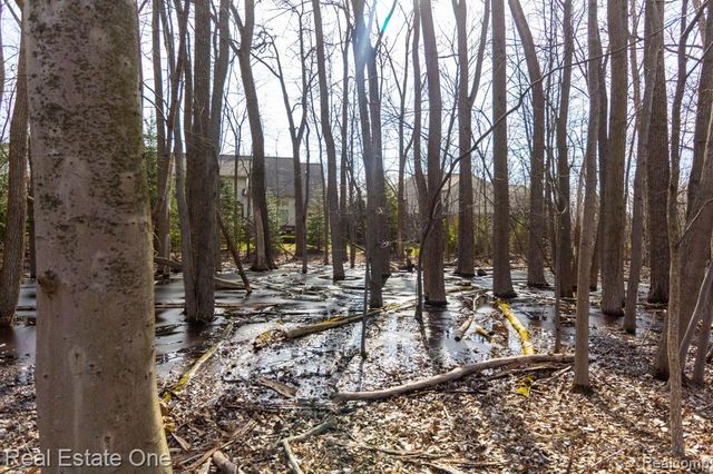 3585 Winding Brook Circle 89, Rochester Hills, MI 48309