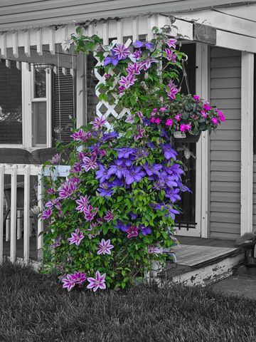 6558 Maple Way, Galloway, OH 43119