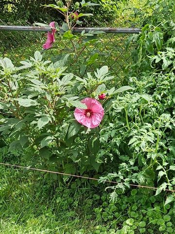 6558 Maple Way, Galloway, OH 43119