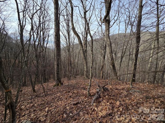 180 Goat House Way, Maggie Valley, NC 28751