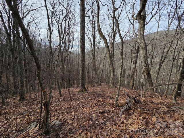 180 Goat House Way, Maggie Valley, NC 28751