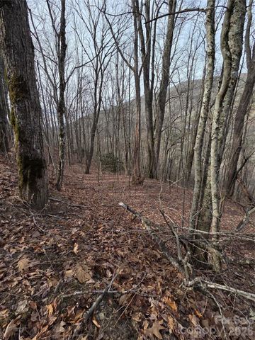 180 Goat House Way, Maggie Valley, NC 28751