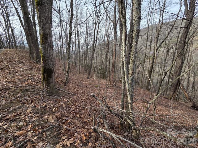 180 Goat House Way, Maggie Valley, NC 28751