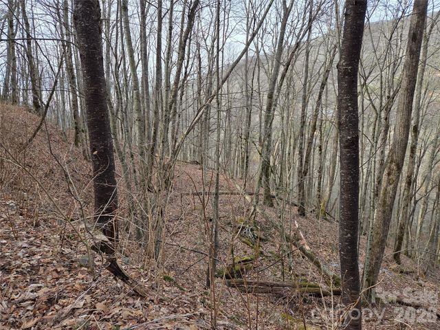 180 Goat House Way, Maggie Valley, NC 28751