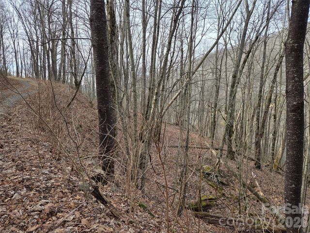 180 Goat House Way, Maggie Valley, NC 28751