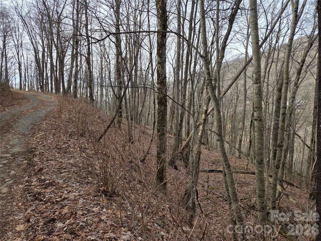 180 Goat House Way, Maggie Valley, NC 28751