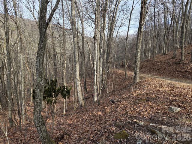 180 Goat House Way, Maggie Valley, NC 28751