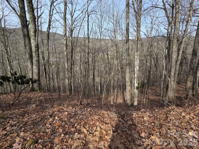 180 Goat House Way, Maggie Valley, NC 28751