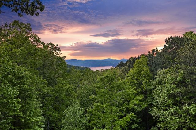 271 Zane Drive, Ellijay, GA 30540