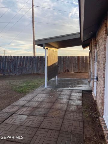 394 BRILL Circle, Horizon City, TX 79928