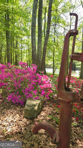 135 Canters Run, Homer, GA 30547