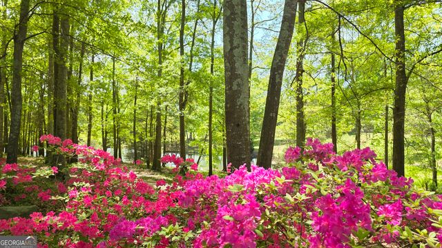 135 Canters Run, Homer, GA 30547