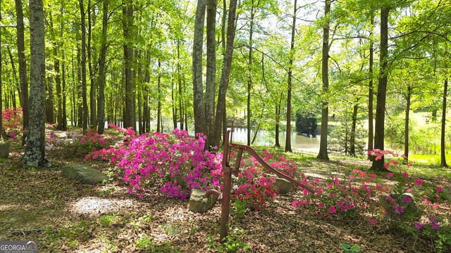 135 Canters Run, Homer, GA 30547